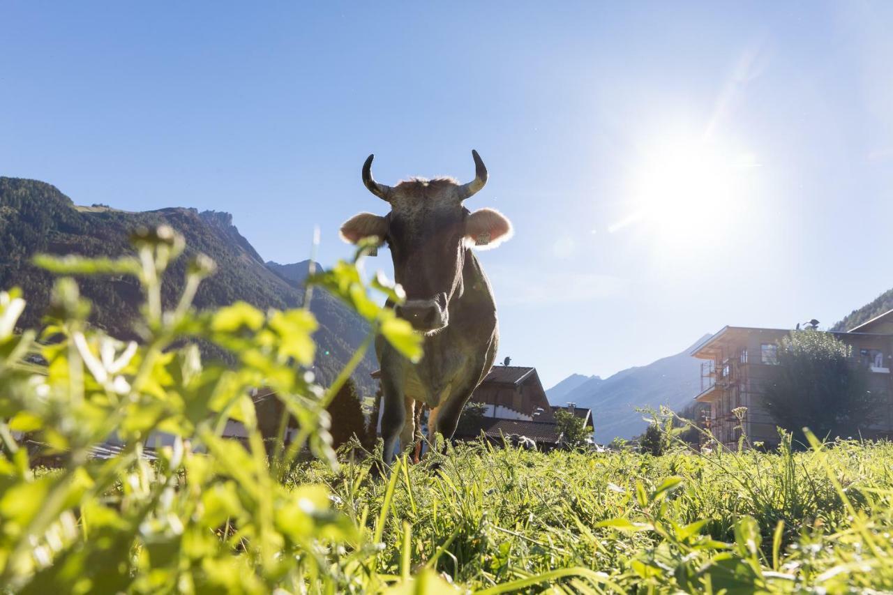 Hieserhof Neustift im Stubaital Exterior foto